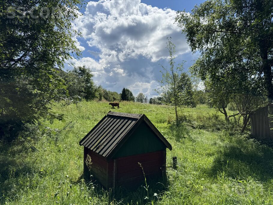 Andrupene, Krāslava un raj., Andrupenes pag. — vienseta