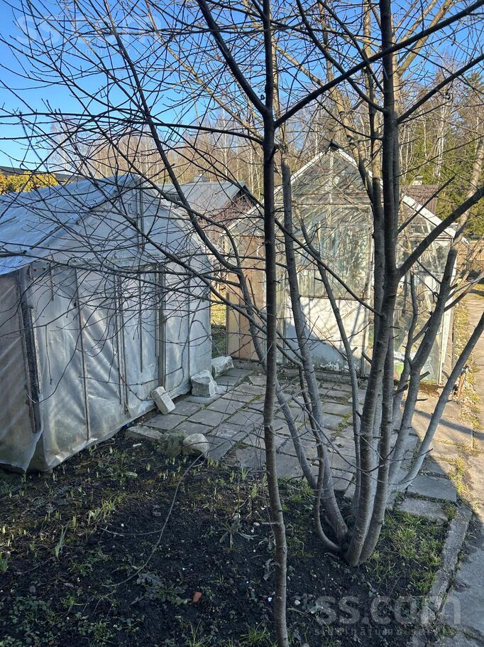Atpūta 383, Greiškāni, Rēzekne un raj., Griškānu pag. — maja