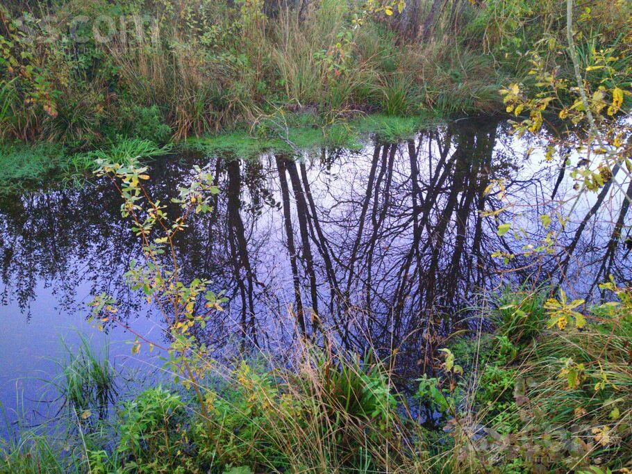Meža 52, Rīgas rajons, Salaspils — zeme