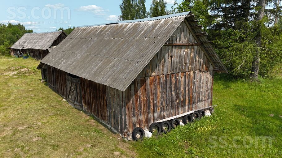 Bērziņi, Krivoseļci, Krāslava un raj., Piedrujas pag. — maja
