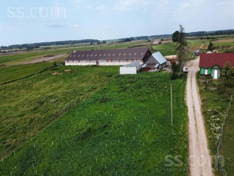 Kalna pupoli, Šengeida, Daugavpils un raj., Skrudalienas pag. — telpa