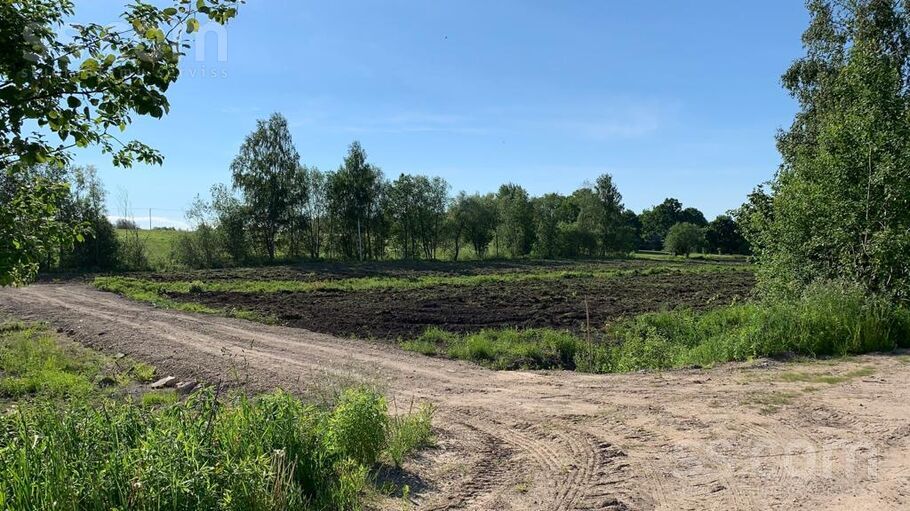 Kraujas iela, Daugmale, Rīgas rajons, Daugmales pag. — zeme