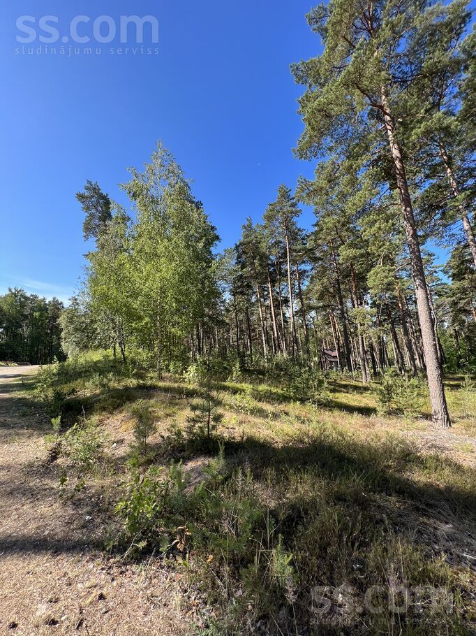 Ūdeņu iela 4, Gauja, Rīgas rajons, Carnikavas nov. — zeme