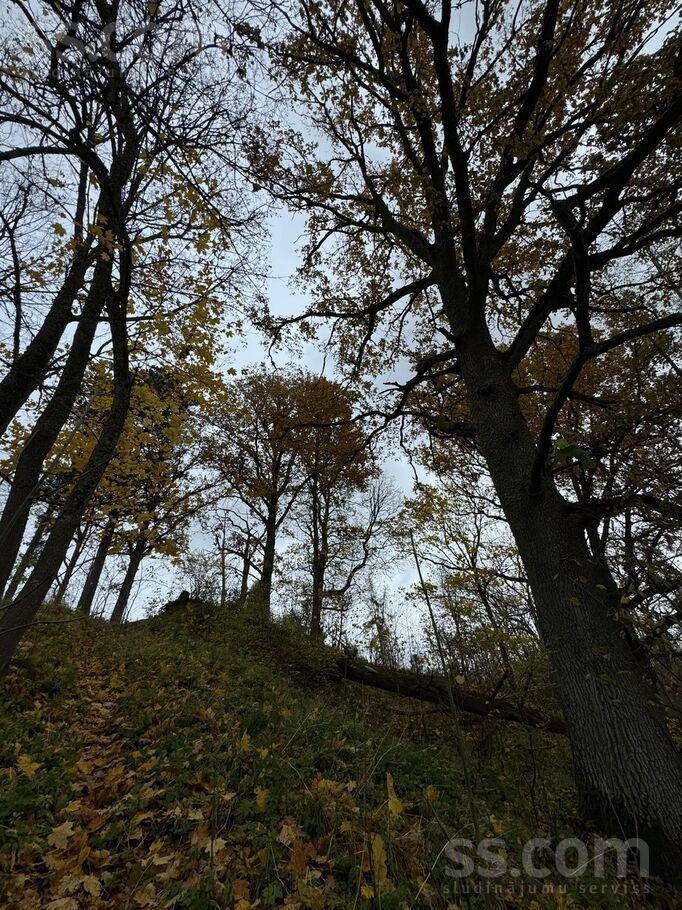 Briedīši, Sēja, Rīgas rajons, Sējas nov. — maja