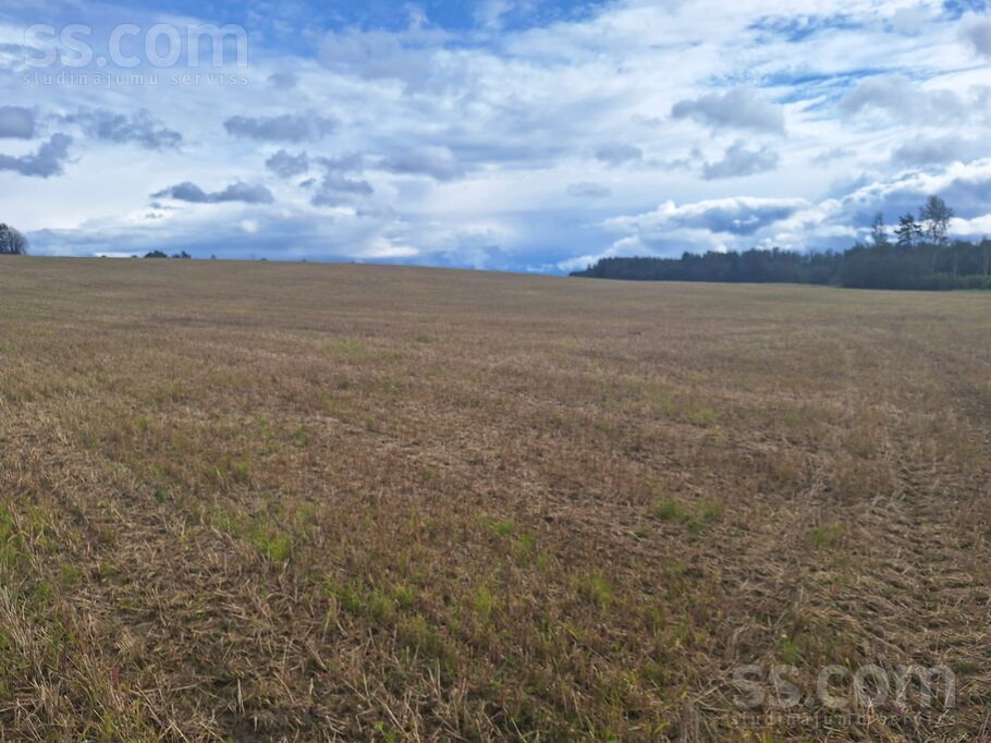 Priežukalni, Alūksne un raj., Ilzenes pag. — zeme