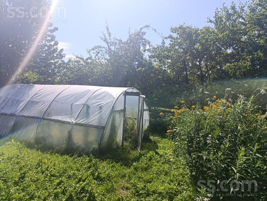 Mežotne, Bauska un raj., Mežotnes pag. — vienseta