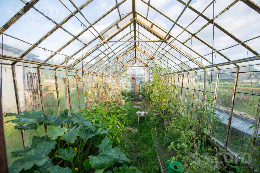 Zvejnieku iela 20, Ciemupe, Ogre un raj., Ogresgala pag. — maja