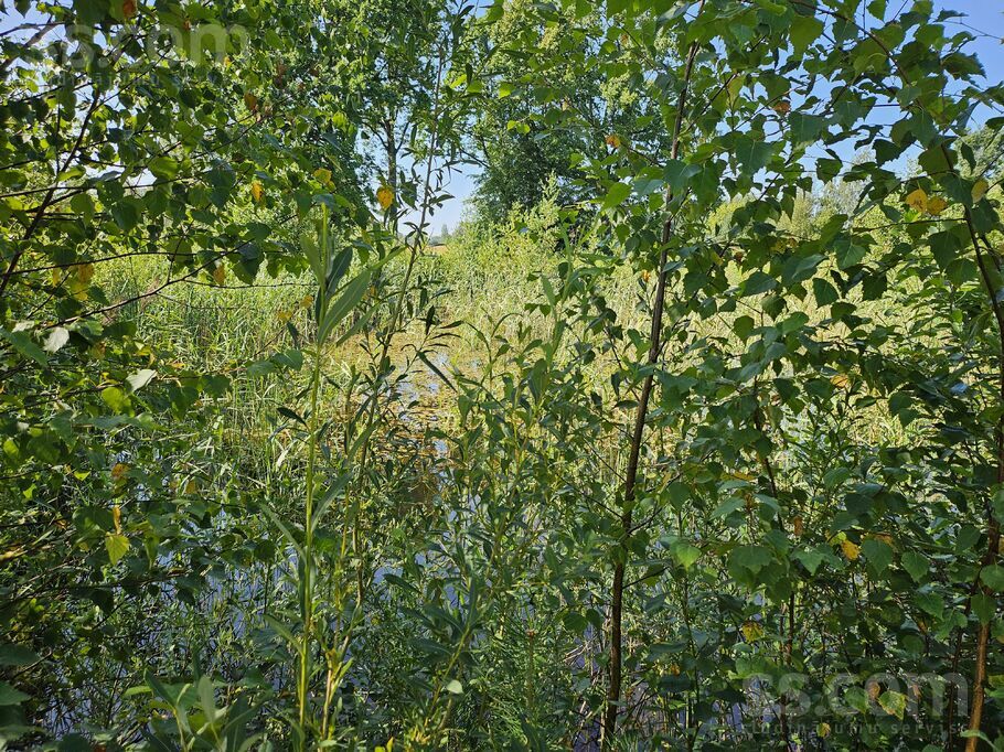 Brankas, Jelgava un raj., Cenu pag. — vienseta