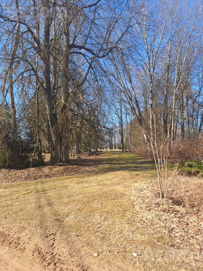 Bauska un raj. — vienseta