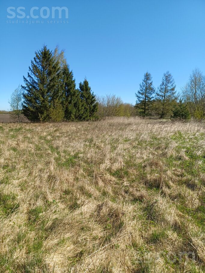 Birzītes, Vārve, Ventspils un raj., Vārves pag. — zeme