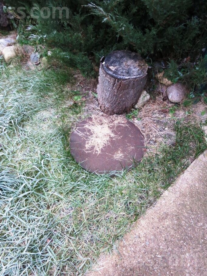 Zaru 31, Daugavpils un raj., Daugavpils — maja