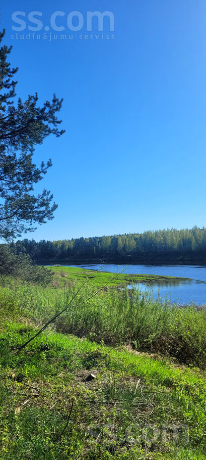 Samu līcis, Sandariški, Daugavpils un raj., Naujenes pag. — zeme