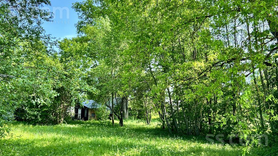 A. Pumpura 3b, Ogre un raj., Lielvārde — zeme