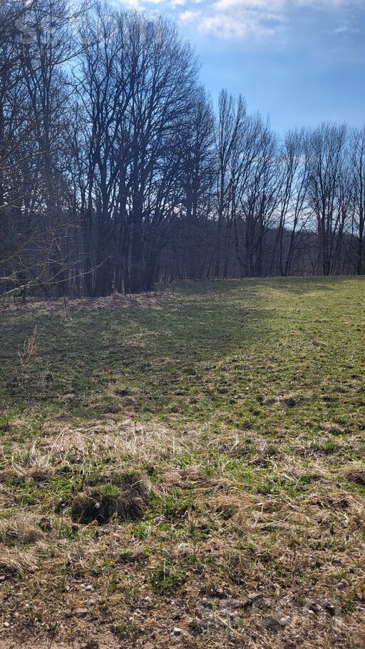 Vidsala vidsala, Vidsala, Jēkabpils un raj., Kalna pag. — zeme