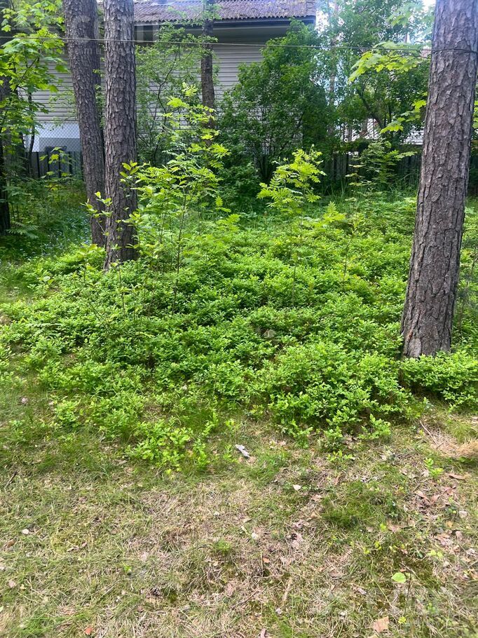 Smaragdu 6, Gauja, Rīgas rajons, Carnikavas nov. — maja