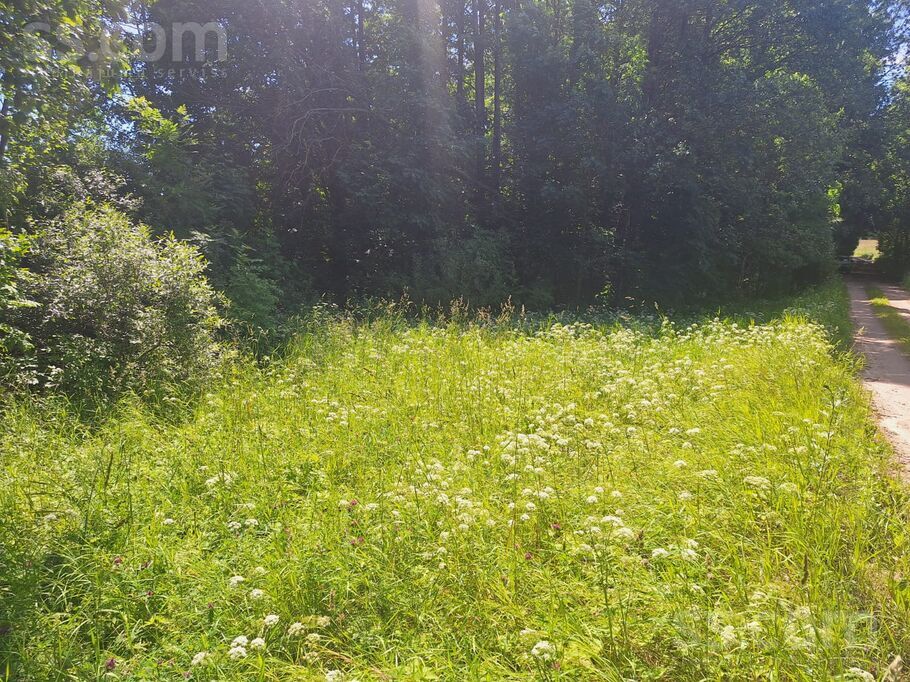 Kļaviņu lauki, Krāslava un raj., Kombuļu pag. — zeme