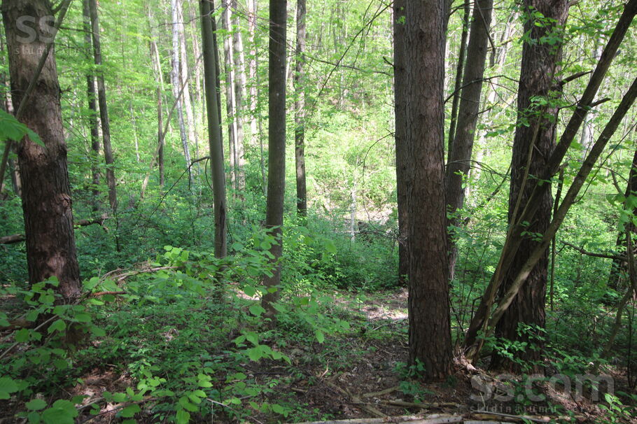 Kāši-Ventas, Daugavpils un raj., Medumu pag. — zeme