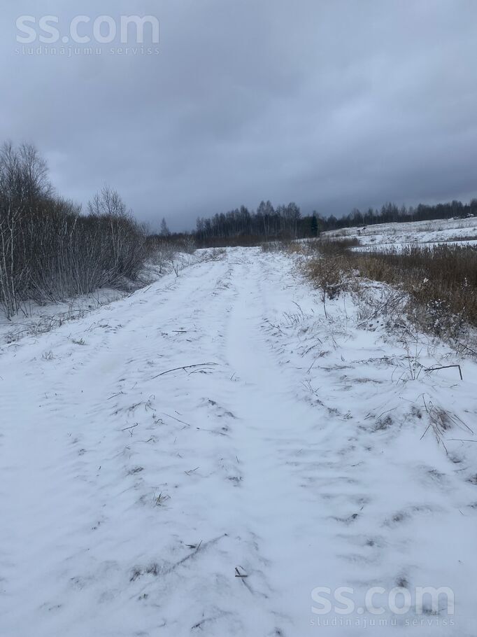 Biķernieki 1, Biķernieki, Daugavpils un raj., Biķernieku pag. — zeme