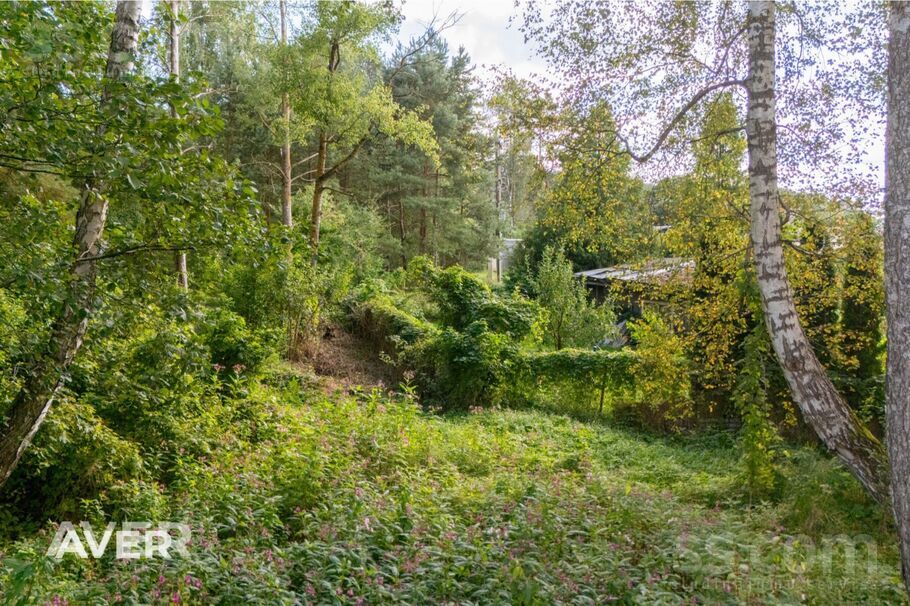 Avotu iela 2, Gauja, Carnikavas nov. — zeme