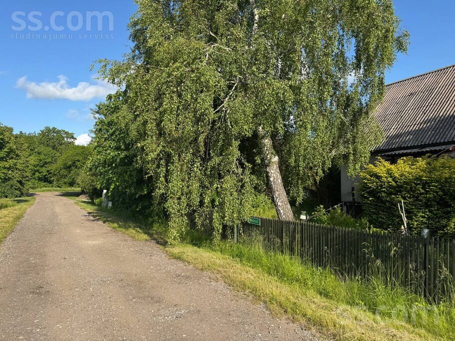 Ābeļziedi, Zūras, Ventspils un raj., Vārves pag. — maja