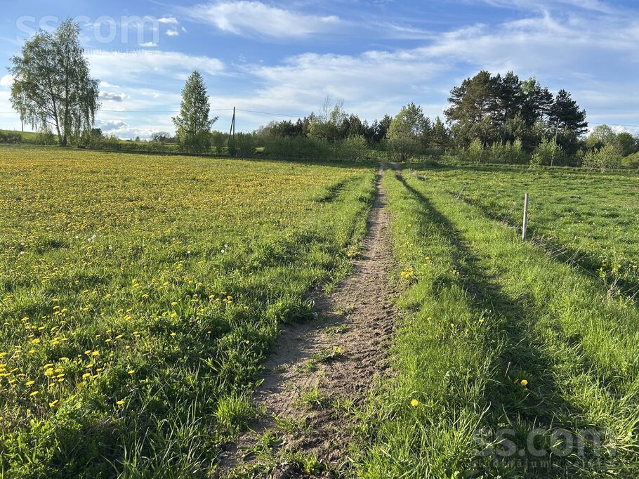 Ļeonoviči 1.2, Ļesovščizna, Daugavpils un raj., Naujenes pag. — zeme