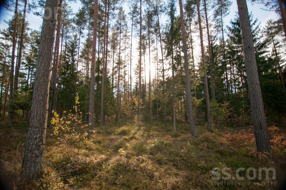 Upes Krasts, Rīgas rajons, Saulkrasti — zeme