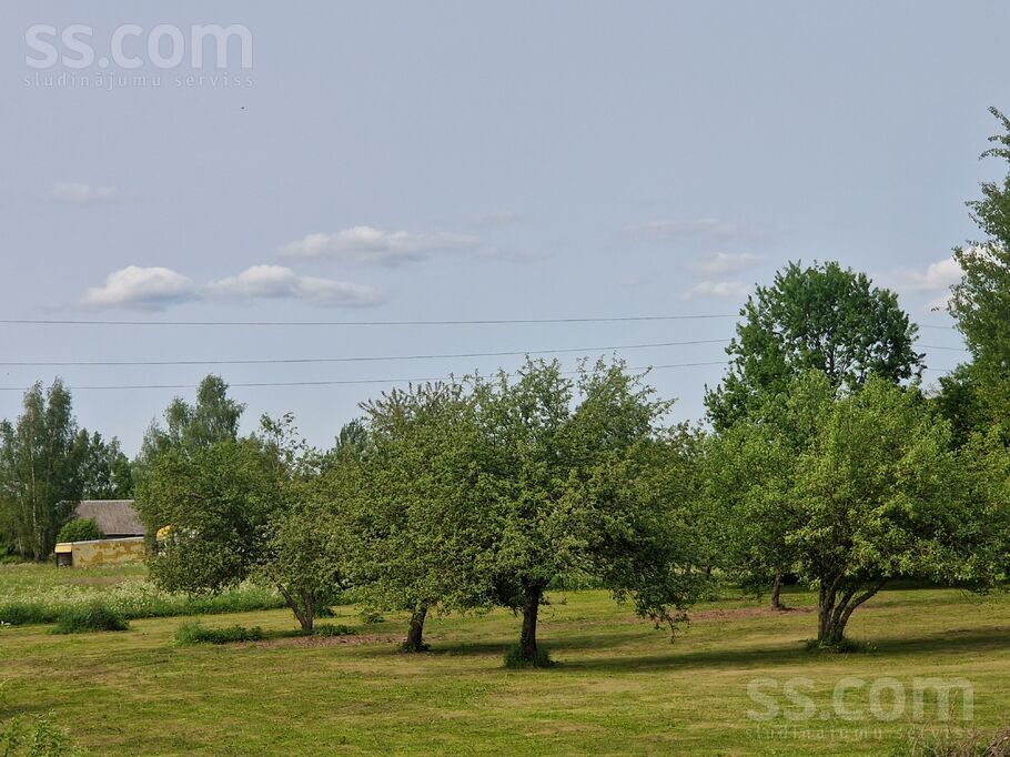 Evitas, Tīnūži, Ogre un raj., Ikšķiles l. t. — maja