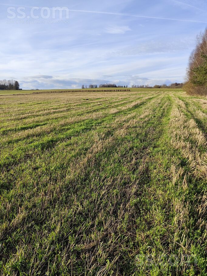 Jaunie Lauksargi, Tadaiķi, Liepāja un raj., Bunkas pag. — zeme