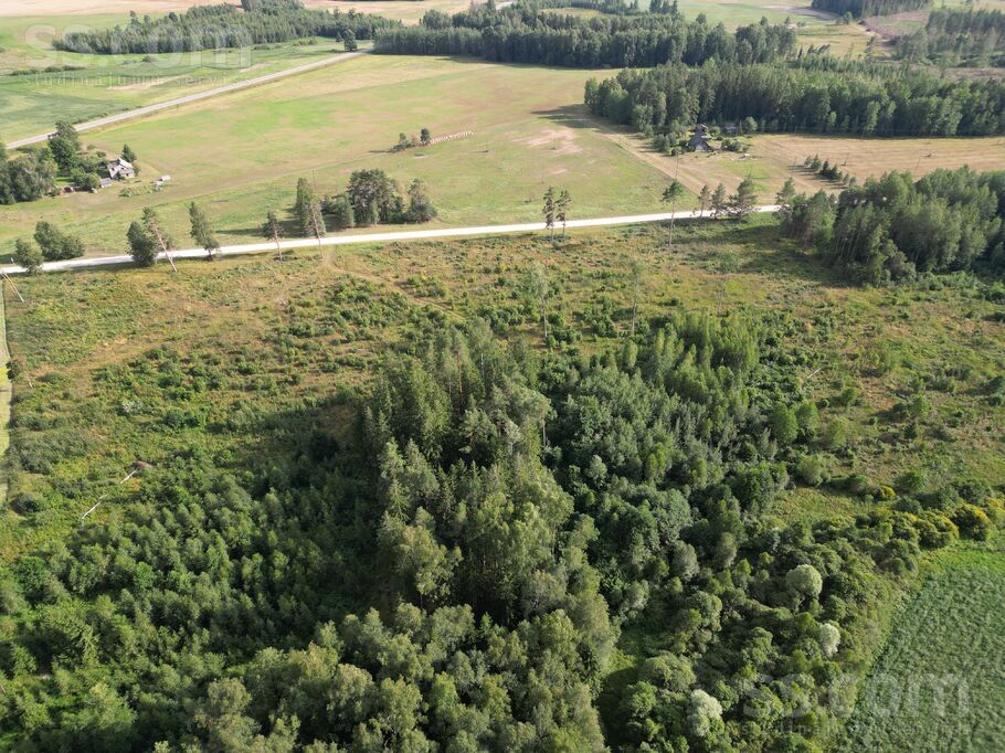 Dzilnas, Jaunkalsnava, Madona un raj., Kalsnavas pag. — zeme