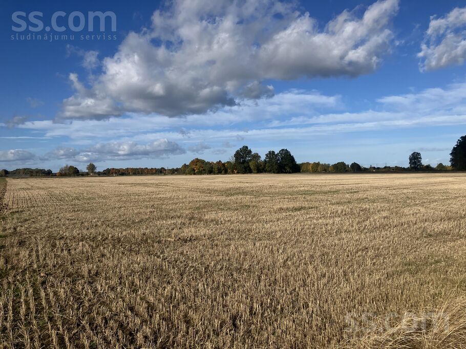 Dzirnieki, Dzirnieki, Jelgava un raj., Jaunsvirlaukas pag. — zeme