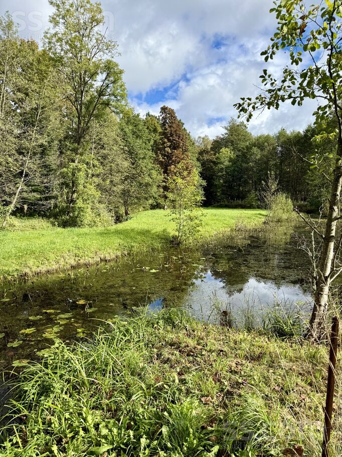 Dīķu iela 5, Rīgas rajons, Baldone — maja