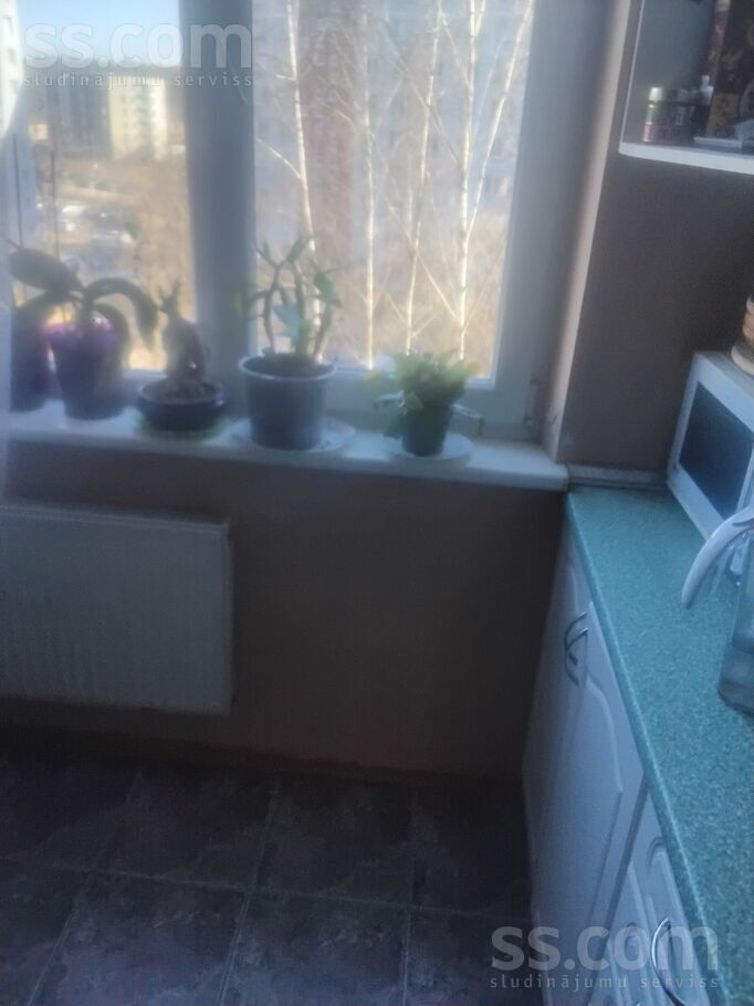 Hipokrāta 41, Rīga — dzivoklis