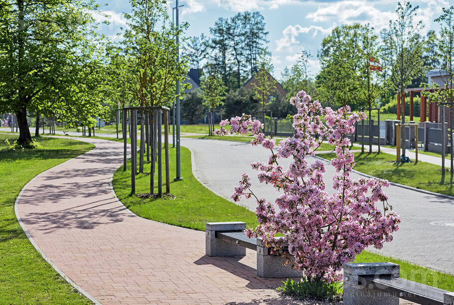 Jaunā Mežaparka 3, Rīga — zeme