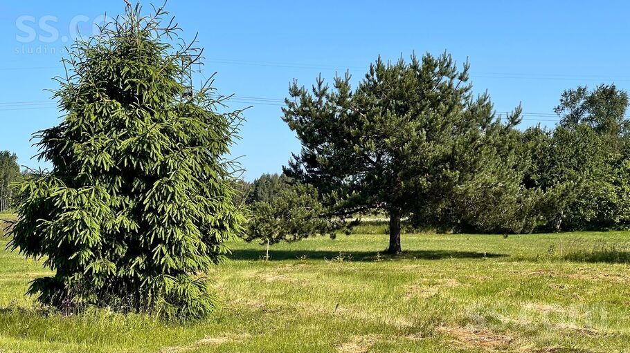 Gaismas iela, Ķekava, Rīgas rajons, Ķekavas pag. — zeme