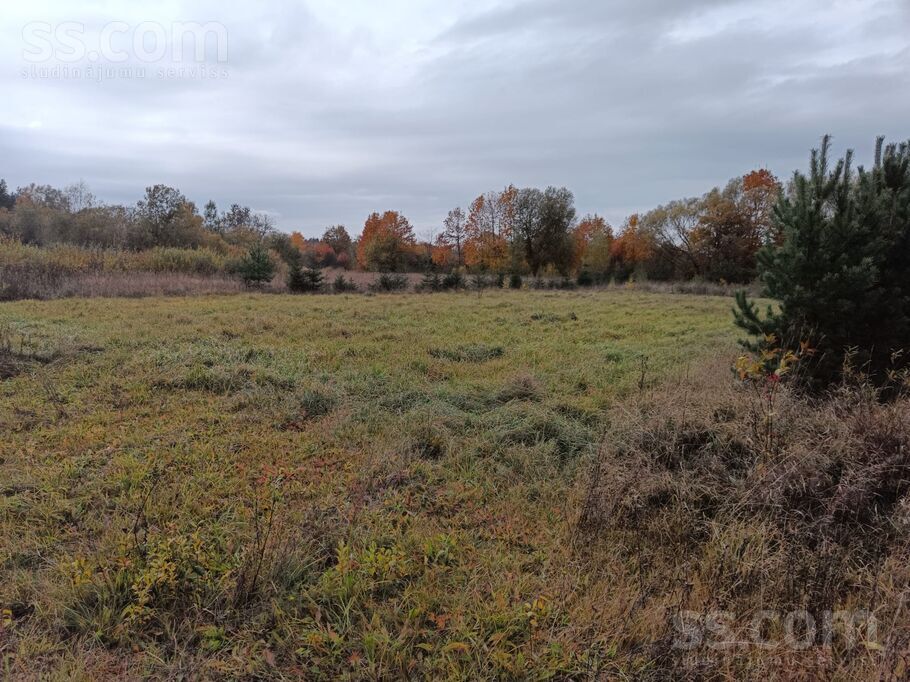 Brīvības iela 44, Madona un raj., Varakļāni — zeme