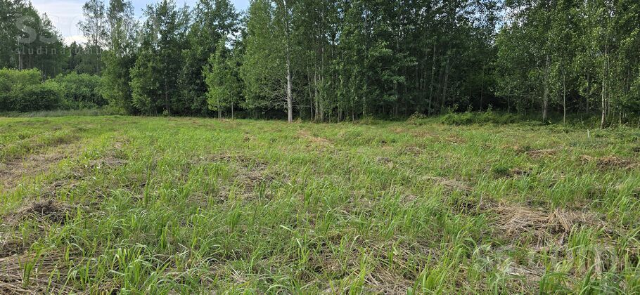 Romantiskās 10, Varkaļi, Rīgas rajons, Salas pag. — zeme