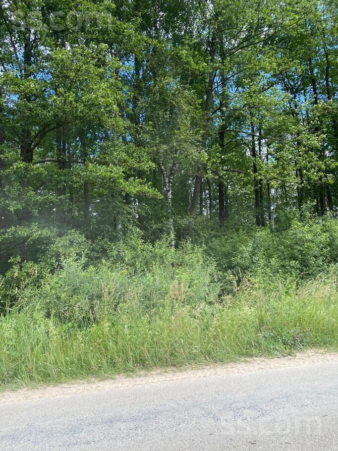 Misa, Bauska un raj., Iecavas nov. — mezs