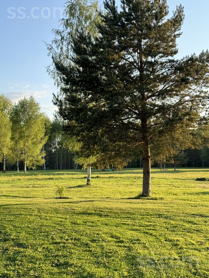 Rauza, Valka un raj., Palsmanes pag. — vienseta