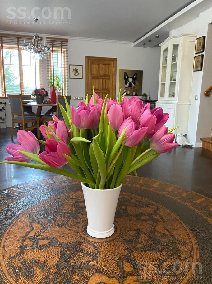 Salenieki 32, Jaksti, Rīgas rajons, Salaspils l. t. — maja