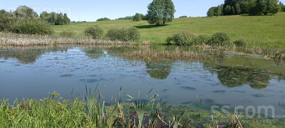 Miera iela, Prezma, Rēzekne un raj., Silmalas pag. — zeme