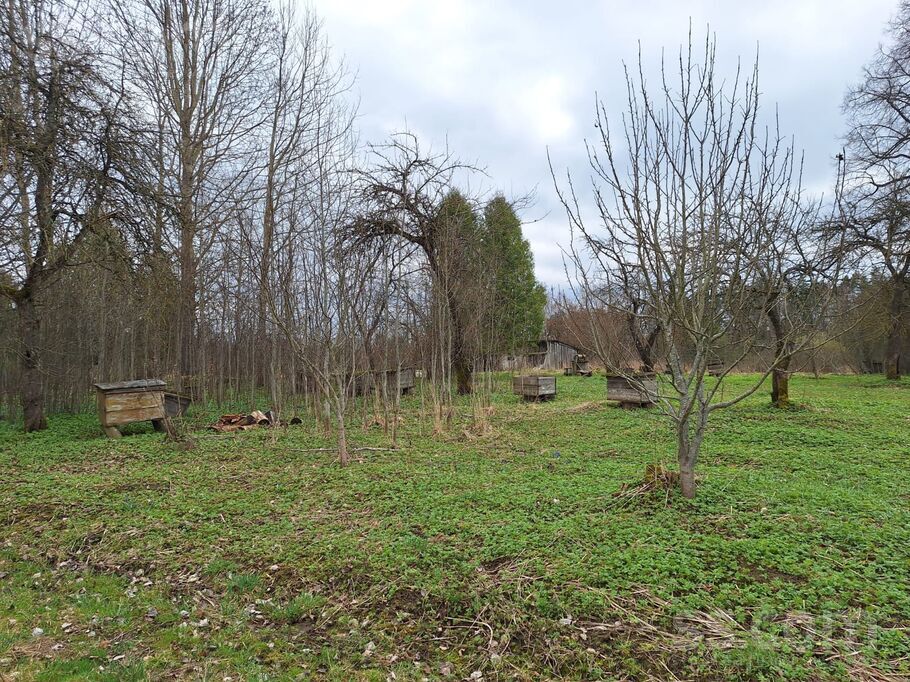 Cinīši, Bauska un raj., Stelpes pag. — zeme