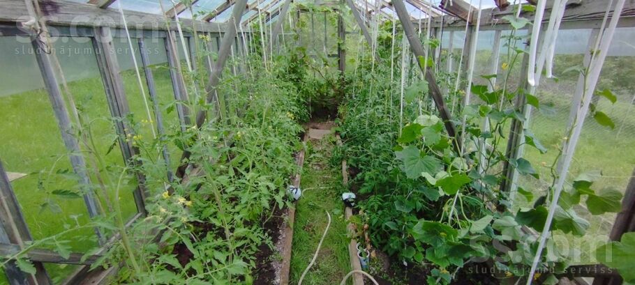 Ozolaine 102, Ozolaine, Daugavpils un raj., Medumu pag. — maja