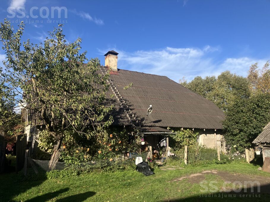 Dzirnieki, Dzirnieki, Jelgava un raj., Jaunsvirlaukas pag. — zeme