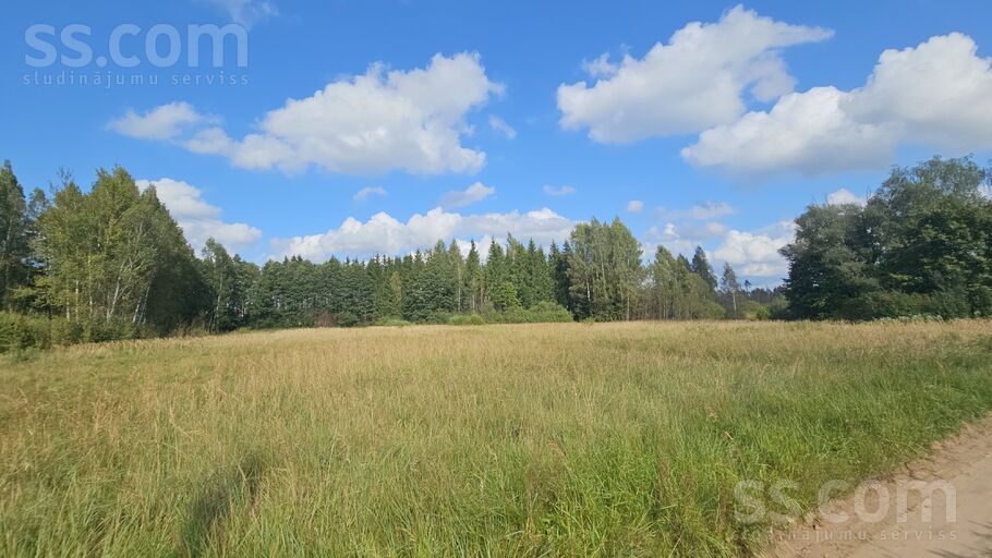 Krauļi 1, Bauska un raj., Bauska — zeme