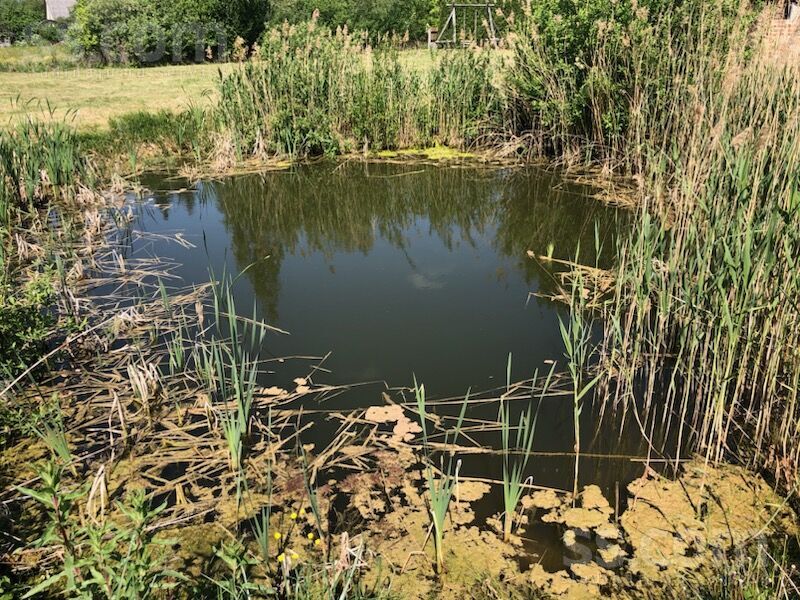 Baauskas iela 12, Eleja, Jelgava un raj., Elejas pag. — maja