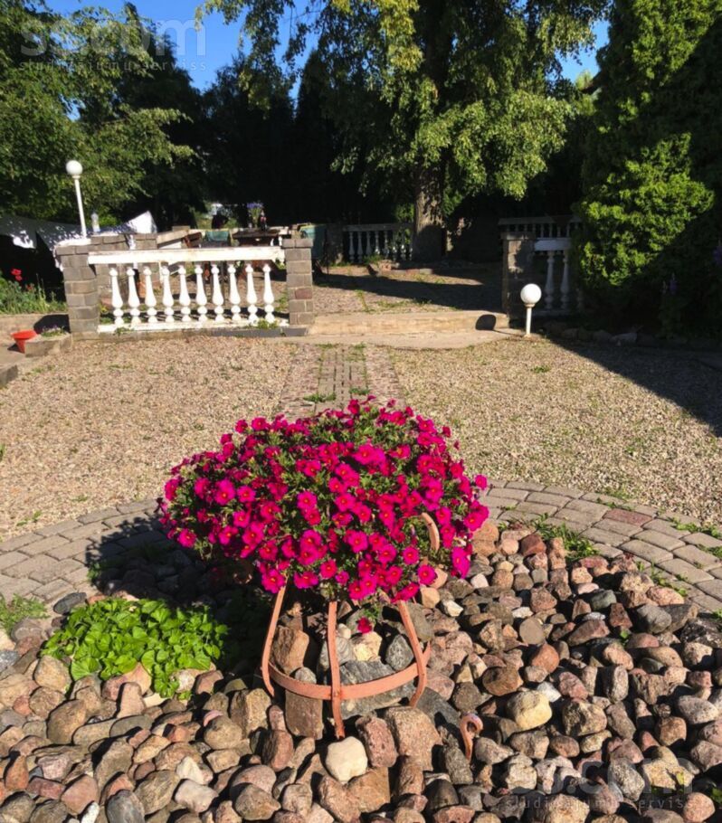 Bērze (Rozenbites), Bērze, Dobele un raj., Bērzes pag. — maja