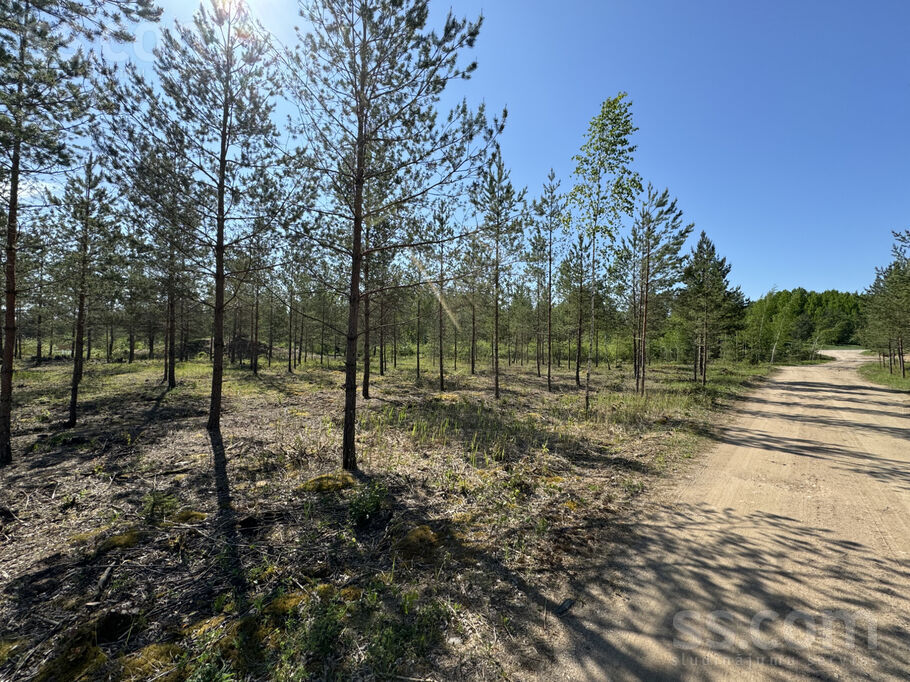 Gramzda, Gramzda, Liepāja un raj., Gramzdas pag. — zeme