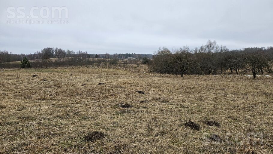 Rāznas iela 12, Lūznava, Rēzekne un raj., Lūznavas pag. — zeme