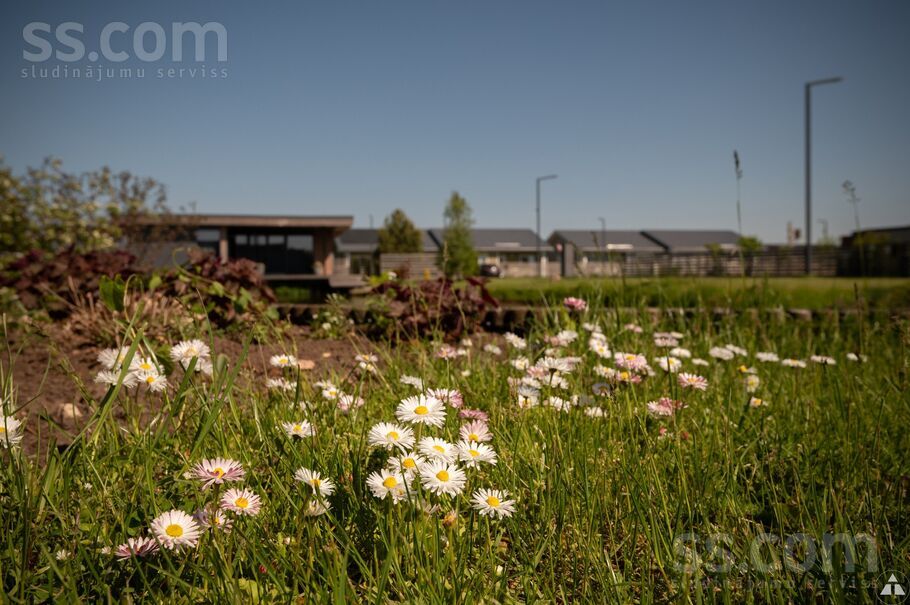 Violetas iela 8, Vīkuļi, Rīgas rajons, Babītes pag. — zeme