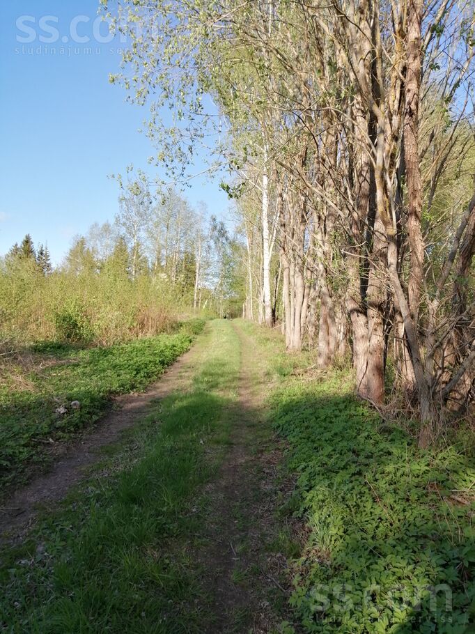 Trepīte 1, Vīpe, Jēkabpils un raj., Vīpes pag. — zeme